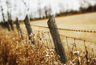 fence with barbed wire